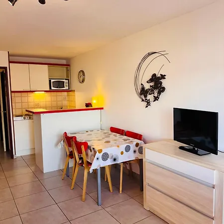 Apartment Les Soleillades-t2 Pour 5 Pers-piscine, Parking Prive- Laconciergeriebynina