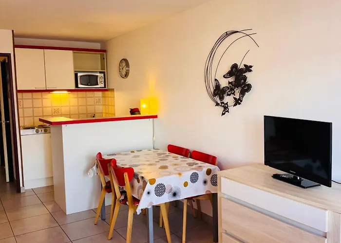 Apartment Les Soleillades-t2 Pour 5 Pers-piscine, Parking Prive- Laconciergeriebynina