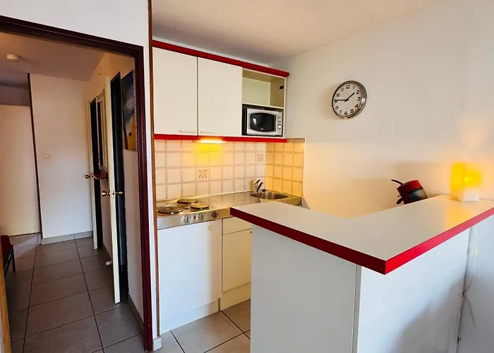 Les Soleillades-t2 Pour 5 Pers-piscine, Parking Prive- Laconciergeriebynina *